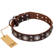 'Age of Beauty' FDT Artisan Incredible Studded Brown Leather American Bulldog Collar (image for) 'Age of Beauty' FDT Artisan Incredible Studded Brown Leather American Bulldog Collar