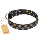 "Romantic Breeze" FDT Artisan Black Leather American Bulldog Collar with Riveted Circles (image for) "Romantic Breeze" FDT Artisan Black Leather American Bulldog Collar with Riveted Circles