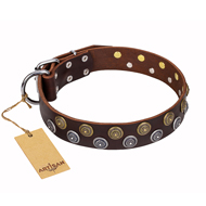 'Strong Shields' FDT Artisan Brown Leather American Bulldog Collar with 2 Rows of Round Studs (image for) 'Strong Shields' FDT Artisan Brown Leather American Bulldog Collar with 2 Rows of Round Studs