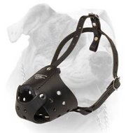 MaxiPro Leather Muzzle For American Bulldog (image for) MaxiPro Leather Muzzle For American Bulldog