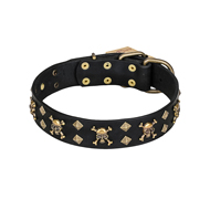 'Jolly Rojer' FDT Artisan American Bulldog Leather Dog Collar with Pirate Skulls and Studs (image for) 'Jolly Rojer' FDT Artisan American Bulldog Leather Dog Collar with Pirate Skulls and Studs