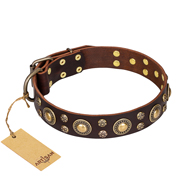 'Flower Melody' FDT Artisan Brown Leather American Bulldog Collar with Mixed Studs (image for) 'Flower Melody' FDT Artisan Brown Leather American Bulldog Collar with Mixed Studs