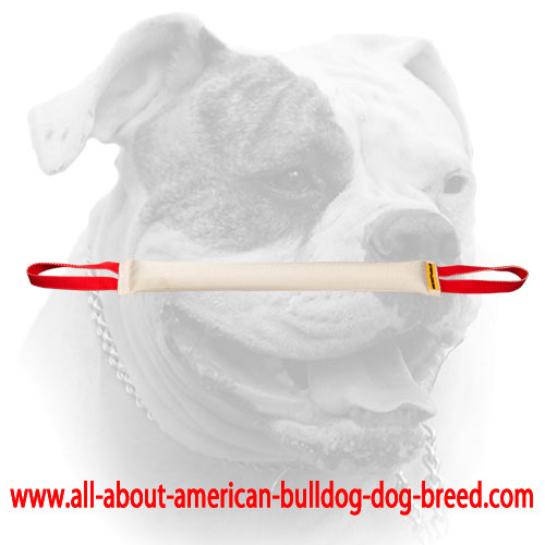 Fire hose dog bite tug with 2 handles for American Bulldog (image for) Fire hose dog bite tug with 2 handles for American Bulldog