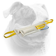Fire hose bite tugs training set for American Bulldog (image for) Fire hose bite tugs training set for American Bulldog