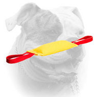 Training American Bulldog bite tug of French Linen with two handles (image for) Training American Bulldog bite tug of French Linen with two handles