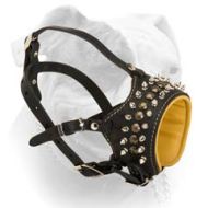Glam Rock Studded Designer Muzzle for American Bulldog (image for) Glam Rock Studded Designer Muzzle for American Bulldog