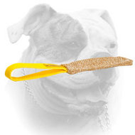 Jute American Bulldog puppy bite tug with comfy loop (image for) Jute American Bulldog puppy bite tug with comfy loop