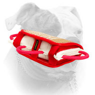 American Bulldog bite pillow with removable jute cover (image for) American Bulldog bite pillow with removable jute cover