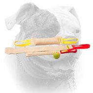 Puppy Training Set With a Rubber Ball as a Gift for American Bulldog (image for) Puppy Training Set With a Rubber Ball as a Gift for American Bulldog
