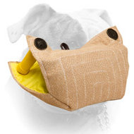 Effective training jute American Bulldog puppy bite developer (image for) Effective training jute American Bulldog puppy bite developer