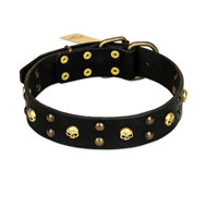 FDT Artisan 'Heavy Metal' Leather American Bulldog Collar with Skulls and Studs 1 1/2 inch (40 mm) (image for) FDT Artisan 'Heavy Metal' Leather American Bulldog Collar with Skulls and Studs 1 1/2 inch (40 mm)