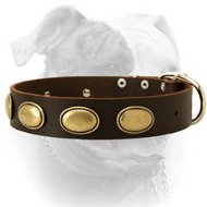 Retro rulz vintage leather American Bulldog collar (image for) Retro rulz vintage leather American Bulldog collar