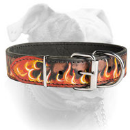 Original style leather handpainted collar for American Bulldog (image for) Original style leather handpainted collar for American Bulldog