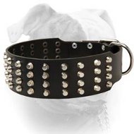 2 inch extra wide pyramid studded leather American Bulldog collar (image for) 2 inch extra wide pyramid studded leather American Bulldog collar