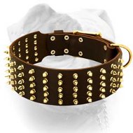 Gorgeous wide leather American Bulldog collar with brass spikes (image for) Gorgeous wide leather American Bulldog collar with brass spikes