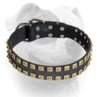 Exclusive handmade design leather collar for American Bulldog (image for) Exclusive handmade design leather collar for American Bulldog