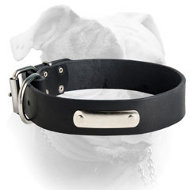 Wide leather collar with ID-tag for American Bulldog (image for) Wide leather collar with ID-tag for American Bulldog