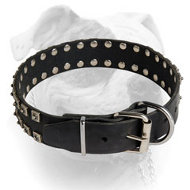 Luxury design studded leather collar for American Bulldog (image for) Luxury design studded leather collar for American Bulldog
