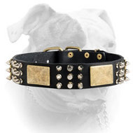 Leather American Bulldog collar with massive brass plates, nickel pyramids and spikes (image for) Leather American Bulldog collar with massive brass plates, nickel pyramids and spikes