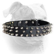 Awesome stylish spiked leather American Bulldog collar (image for) Awesome stylish spiked leather American Bulldog collar