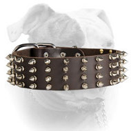Stylish elegant 2 inch wide spiked leather American Bulldog collar (image for) Stylish elegant 2 inch wide spiked leather American Bulldog collar