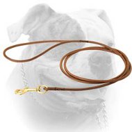 Rolled leather dog lead for dog shows for American Bulldog (image for) Rolled leather dog lead for dog shows for American Bulldog