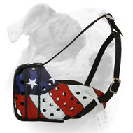 Hand painted by our artists leather Muzzle "Dondi" Plus (image for) Hand painted by our artists leather Muzzle "Dondi" Plus