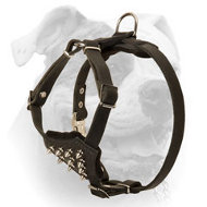 Soft padded American Bulldog puppy harness with spikes (image for) Soft padded American Bulldog puppy harness with spikes