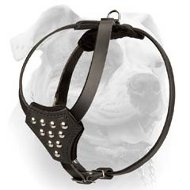 Soft walking genuine leather American Bulldog harness with studs (image for) Soft walking genuine leather American Bulldog harness with studs