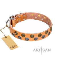 "Precious Sparkle" Exclusive Style FDT Artisan Tan Leather American Bulldog Collar (image for) "Precious Sparkle" Exclusive Style FDT Artisan Tan Leather American Bulldog Collar