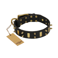 "Medieval Style" FDT Artisan Leather American Bulldog Collar with Brass Plates and Spikes (image for) "Medieval Style" FDT Artisan Leather American Bulldog Collar with Brass Plates and Spikes