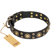 'Baroque Chic' FDT Artisan Studded Black Leather American Bulldog Collar (image for) 'Baroque Chic' FDT Artisan Studded Black Leather American Bulldog Collar