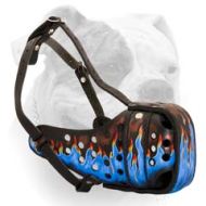 Beautiful Spitfire Leather Muzzle For American Bulldog (image for) Beautiful Spitfire Leather Muzzle For American Bulldog