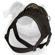 Nylon multi-purpose American Bulldog harness for tracking/pulling with handle (image for) Nylon multi-purpose American Bulldog harness for tracking/pulling with handle