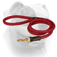 Cord nylon dog leash for American Bulldog (image for) Cord nylon dog leash for American Bulldog