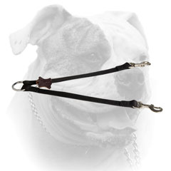 Nylon 2-Way Coupler Leash for American Bulldogs (image for) Nylon 2-Way Coupler Leash for American Bulldogs