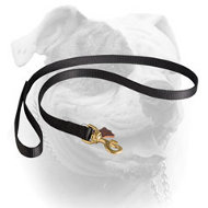 Deluxe Nylon Lead with Swivel Snap for American Bulldog (image for) Deluxe Nylon Lead with Swivel Snap for American Bulldog