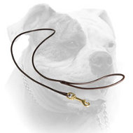 Leather dog shows round leash for American Bulldog (image for) Leather dog shows round leash for American Bulldog