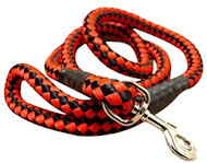 5 foot Round Nylon Leash With Brass Snap for American Bulldog (image for) 5 foot Round Nylon Leash With Brass Snap for American Bulldog