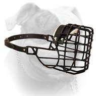 Universal Training Wire Muzzle for American Bulldog (image for) Universal Training Wire Muzzle for American Bulldog