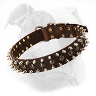 Big collar-Studs and Spikes leather dog collar for Large breeds