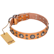 'Extra Sparkle' FDT Artisan Handcrafted American Bulldog Tan Leather Dog Collar (image for) 'Extra Sparkle' FDT Artisan Handcrafted American Bulldog Tan Leather Dog Collar