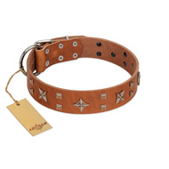 "Dreamy Gleam" FDT Artisan Tan Leather American Bulldog Collar Adorned with Stars and Squares (image for) "Dreamy Gleam" FDT Artisan Tan Leather American Bulldog Collar Adorned with Stars and Squares