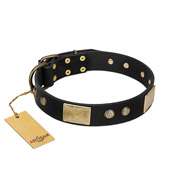 "Antique Gloss" FDT Artisan Black Leather American Bulldog Collar with Bronze-like Plates and Small Studs (image for) "Antique Gloss" FDT Artisan Black Leather American Bulldog Collar with Bronze-like Plates and Small Studs