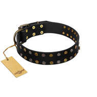 "Star Way" FDT Artisan Black Leather American Bulldog Collar with Bronze-like and Silver-like Star Studs (image for) "Star Way" FDT Artisan Black Leather American Bulldog Collar with Bronze-like and Silver-like Star Studs
