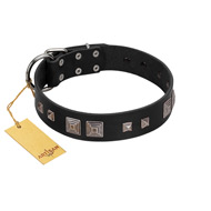 "Foregone Riches" FDT Artisan Black Leather American Bulldog Collar with Old Silver-like Square Studs and Pyramids (image for) "Foregone Riches" FDT Artisan Black Leather American Bulldog Collar with Old Silver-like Square Studs and Pyramids
