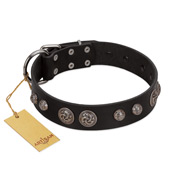 "Tricky Ricky" FDT Artisan Black Leather American Bulldog Collar Adorned with Silver-Like Conchos (image for) "Tricky Ricky" FDT Artisan Black Leather American Bulldog Collar Adorned with Silver-Like Conchos