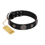 "Ad Infinitum" Durable FDT Artisan Black Leather American Bulldog Collar with Chrome Plated Brooches (image for) "Ad Infinitum" Durable FDT Artisan Black Leather American Bulldog Collar with Chrome Plated Brooches