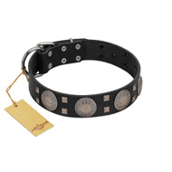"Sun in Shining" Modern FDT Artisan Black Leather American Bulldog Collar with Studs and Stars (image for) "Sun in Shining" Modern FDT Artisan Black Leather American Bulldog Collar with Studs and Stars