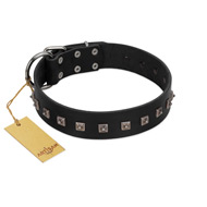 "Natural Beauty" Premium Quality FDT Artisan Black Designer American Bulldog Collar with Dotted Studs (image for) "Natural Beauty" Premium Quality FDT Artisan Black Designer American Bulldog Collar with Dotted Studs
